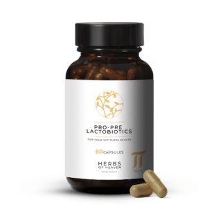 Lactobiotics Pre- and Probiotic Capsules – 60 pcs packshot